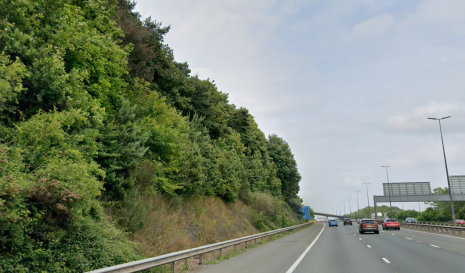 M4 Trees growing 